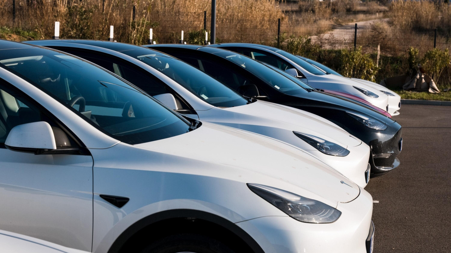 Chute libre des ventes Tesla en Europe début 2025 : analyse
