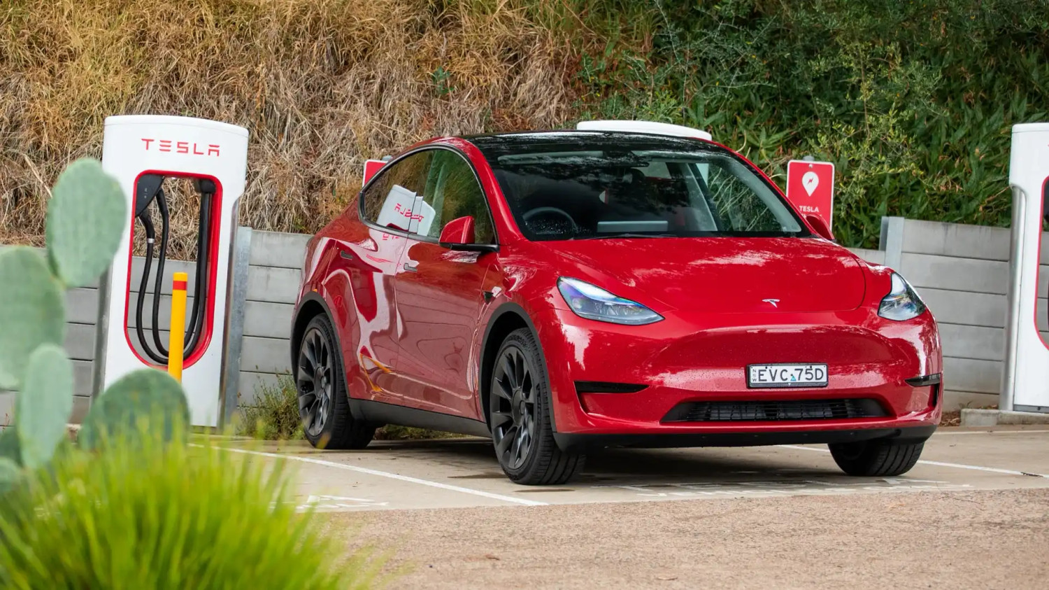 Cette Tesla Model Y presque neuve a perdu beaucoup d'autonom
