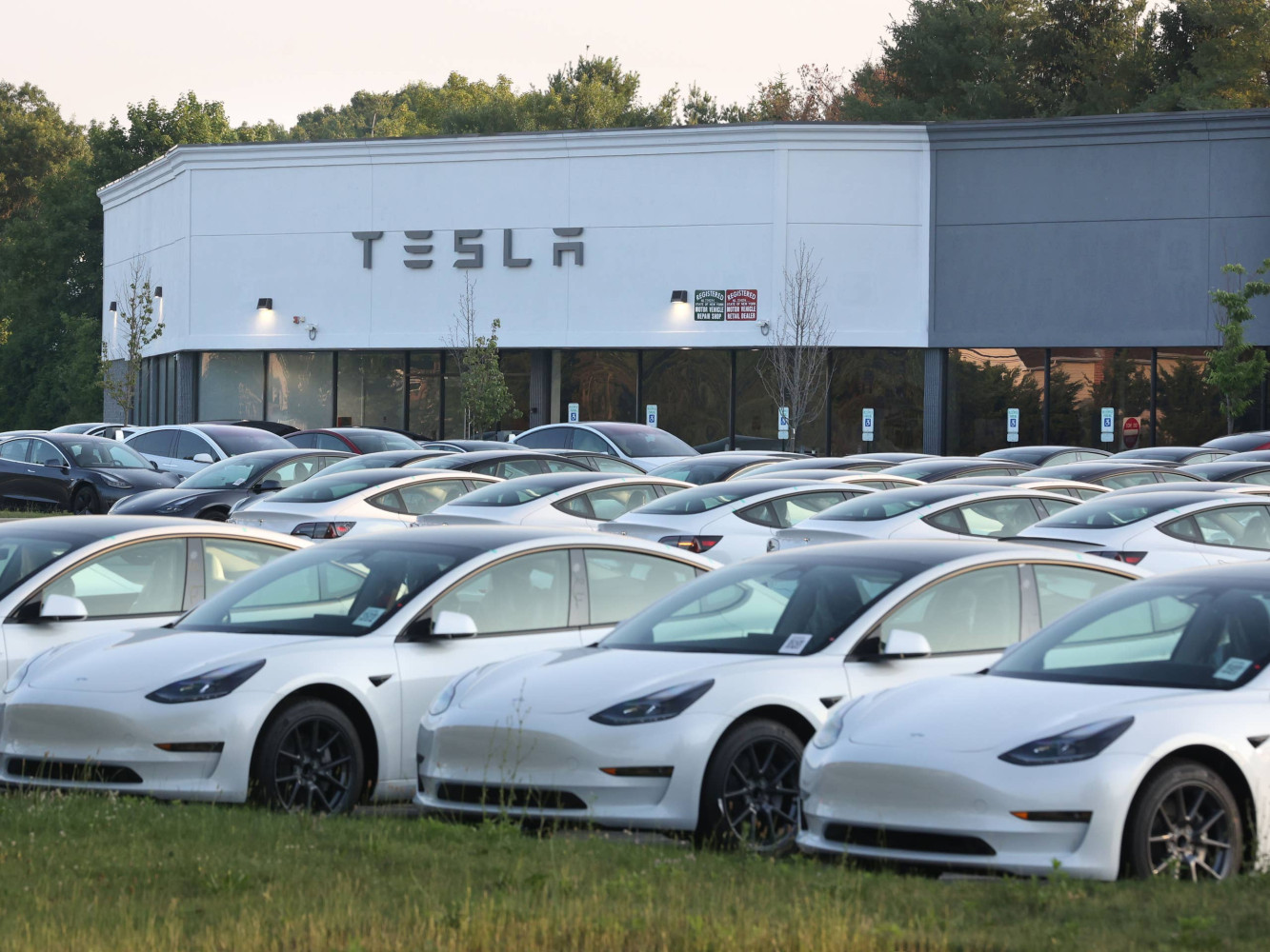 Ventes mondiales de voitures électriques : l'Europe s'envol